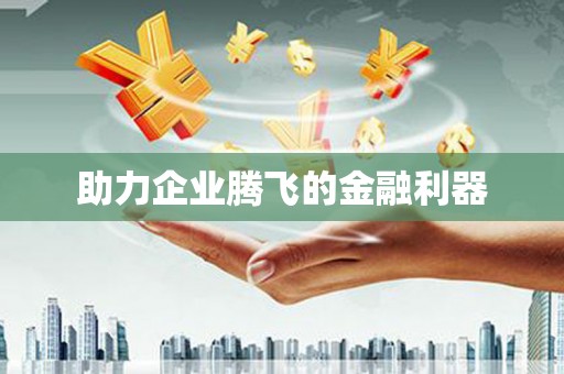 新林助力企业腾飞的金融利器