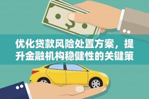 新林优化贷款风险处置方案，提升金融机构稳健性的关键策略