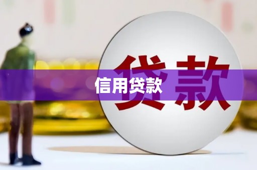 新林信用贷款