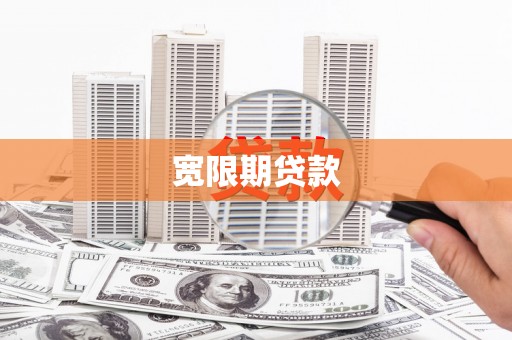 新林宽限期贷款