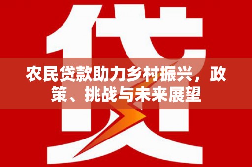 新林农民贷款助力乡村振兴，政策、挑战与未来展望