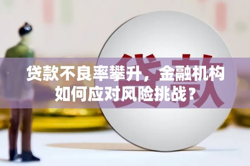 新林贷款不良率攀升，金融机构如何应对风险挑战？