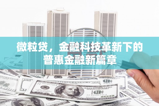 新林微粒贷，金融科技革新下的普惠金融新篇章