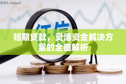 新林短期贷款，灵活资金解决方案的全面解析