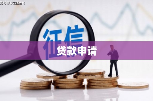 新林贷款申请