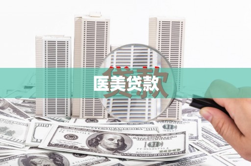 新林医美贷款