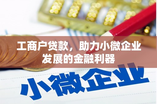 新林工商户贷款，助力小微企业发展的金融利器