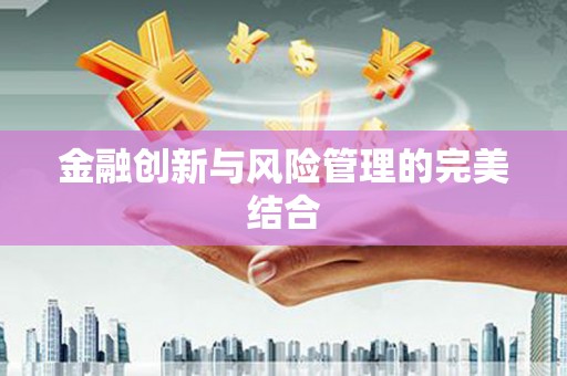 新林金融创新与风险管理的完美结合