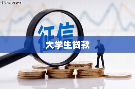 新林大学生贷款