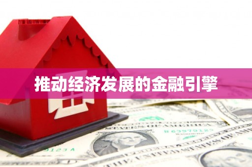 新林推动经济发展的金融引擎