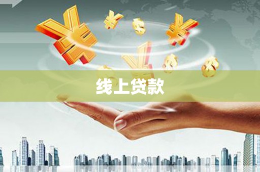 新林线上贷款
