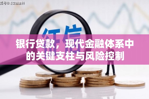 新林银行贷款，现代金融体系中的关键支柱与风险控制