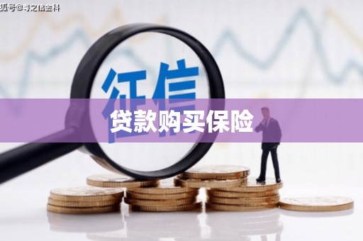 新林贷款购买保险
