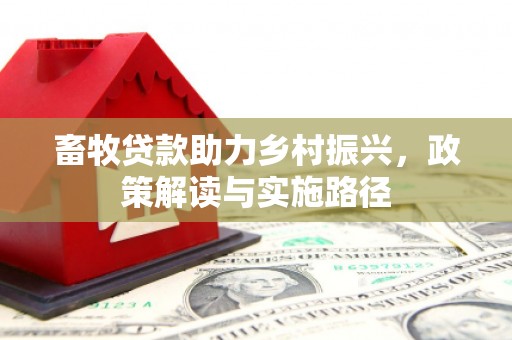 新林畜牧贷款助力乡村振兴，政策解读与实施路径