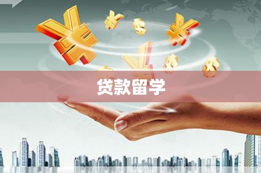 新林贷款留学