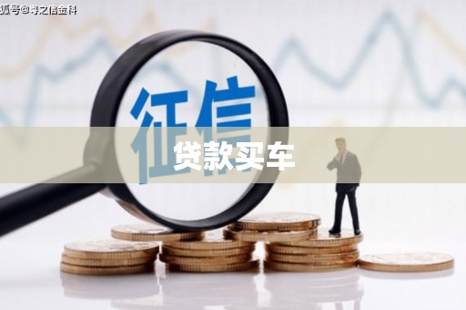 新林贷款买车