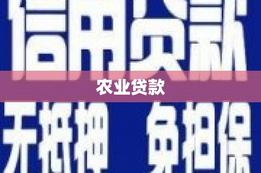 新林农业贷款