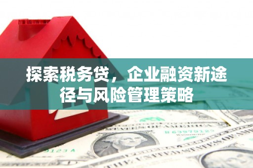 新林探索税务贷，企业融资新途径与风险管理策略