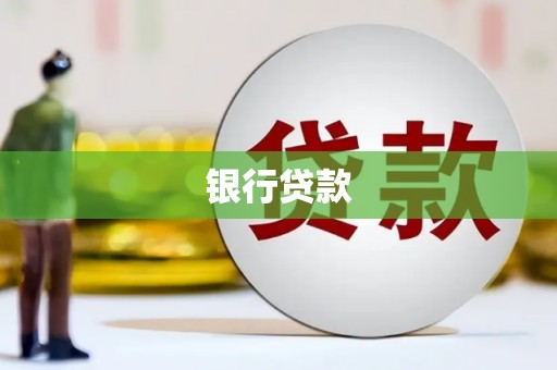 新林银行贷款