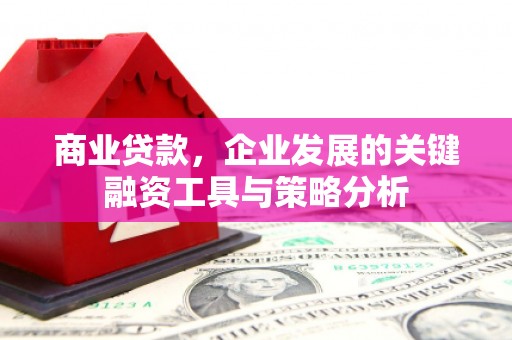 新林商业贷款，企业发展的关键融资工具与策略分析