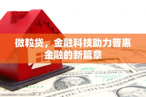 新林微粒贷，金融科技助力普惠金融的新篇章