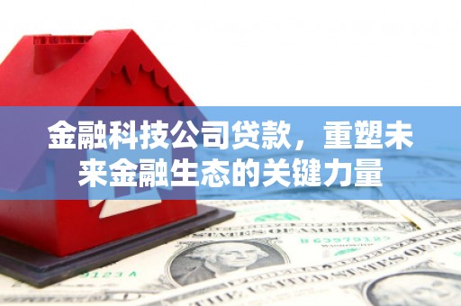 新林金融科技公司贷款，重塑未来金融生态的关键力量