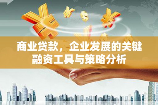 新林商业贷款，企业发展的关键融资工具与策略分析