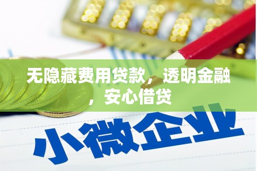 新林无隐藏费用贷款，透明金融，安心借贷