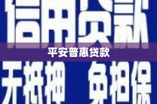 新林平安普惠贷款