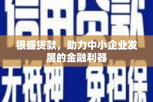 新林银盛贷款，助力中小企业发展的金融利器