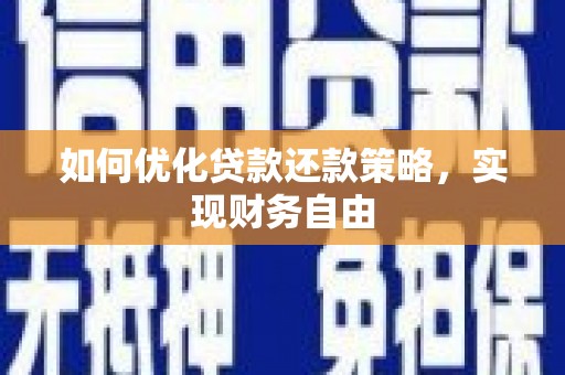 新林如何优化贷款还款策略，实现财务自由