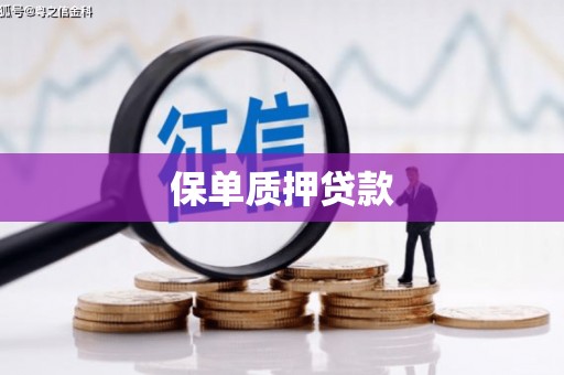 新林保单质押贷款