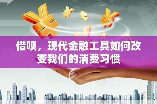 新林借呗，现代金融工具如何改变我们的消费习惯