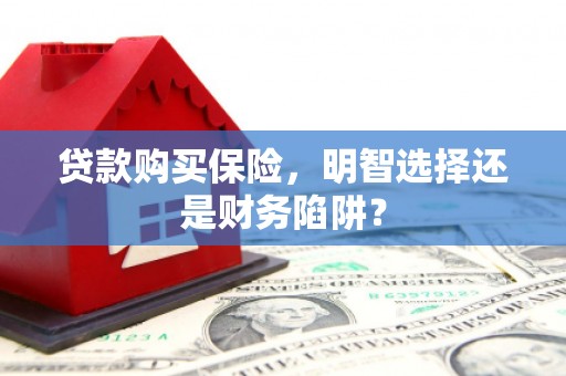 新林贷款购买保险，明智选择还是财务陷阱？