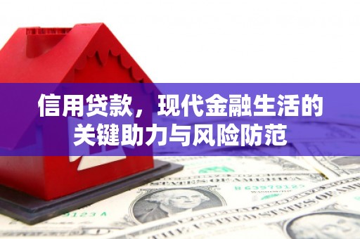 新林信用贷款，现代金融生活的关键助力与风险防范