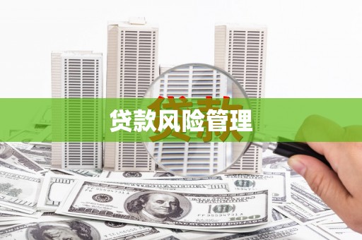 新林贷款风险管理