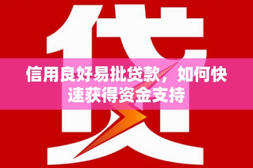 新林信用良好易批贷款，如何快速获得资金支持