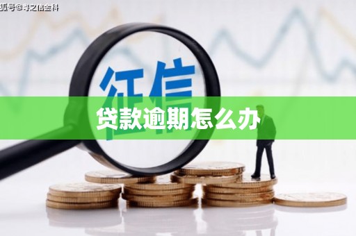 新林贷款逾期怎么办