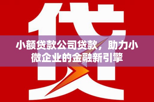 新林小额贷款公司贷款，助力小微企业的金融新引擎