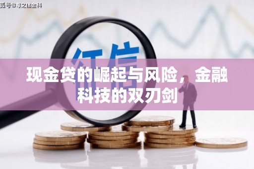 新林现金贷的崛起与风险，金融科技的双刃剑