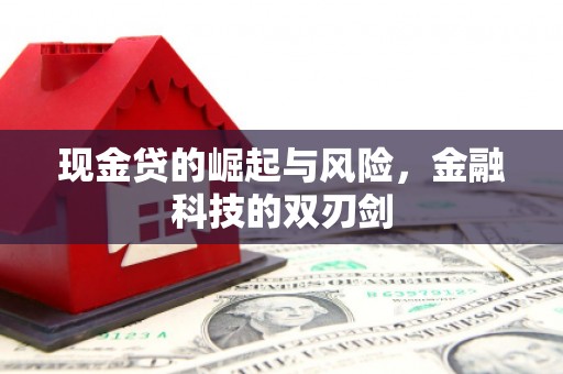 新林现金贷的崛起与风险，金融科技的双刃剑
