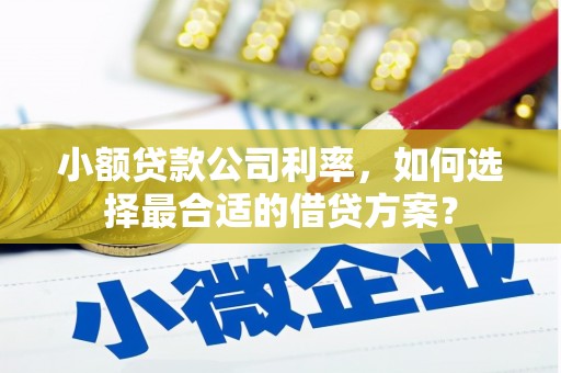 新林小额贷款公司利率，如何选择最合适的借贷方案？