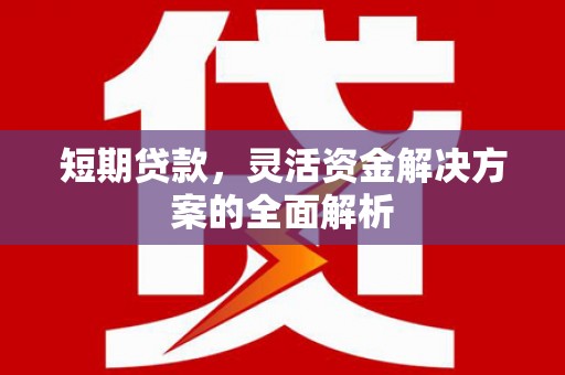 新林短期贷款，灵活资金解决方案的全面解析