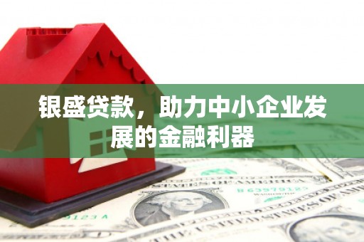 新林银盛贷款，助力中小企业发展的金融利器