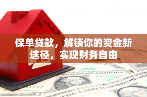 新林保单贷款，解锁你的资金新途径，实现财务自由