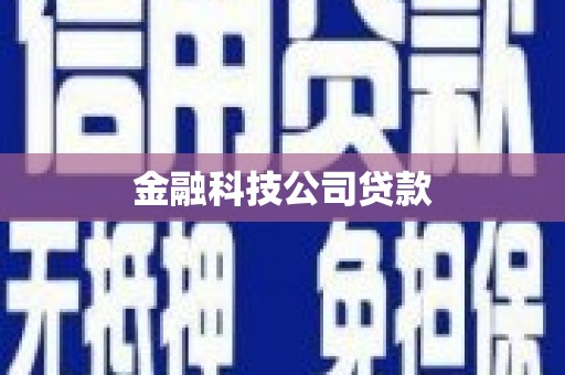 新林金融科技公司贷款