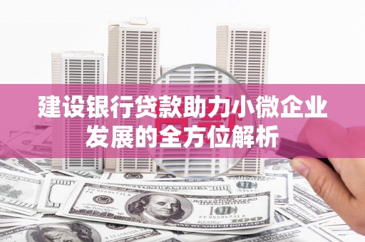 新林建设银行贷款助力小微企业发展的全方位解析