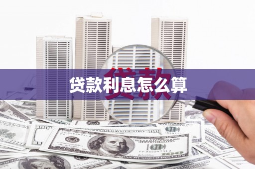 新林贷款利息怎么算