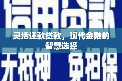 新林灵活还款贷款，现代金融的智慧选择