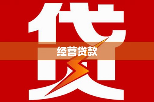 新林经营贷款